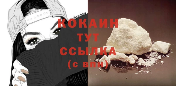 mix Богородицк