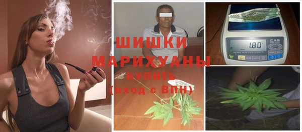 mix Богородицк