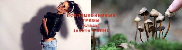 меф VHQ Богданович