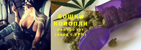 mix Богородицк