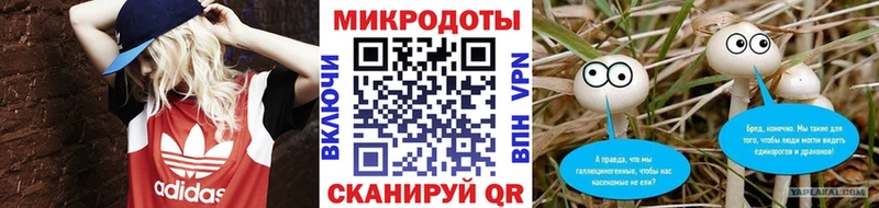 блэк спрут зеркало  Юхнов  Галлюциногенные грибы мицелий 