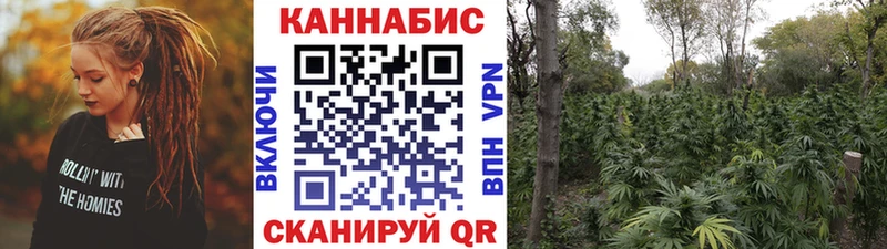 Шишки марихуана гибрид  купить наркоту  Юхнов 